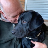 Voice artist - Paul C.